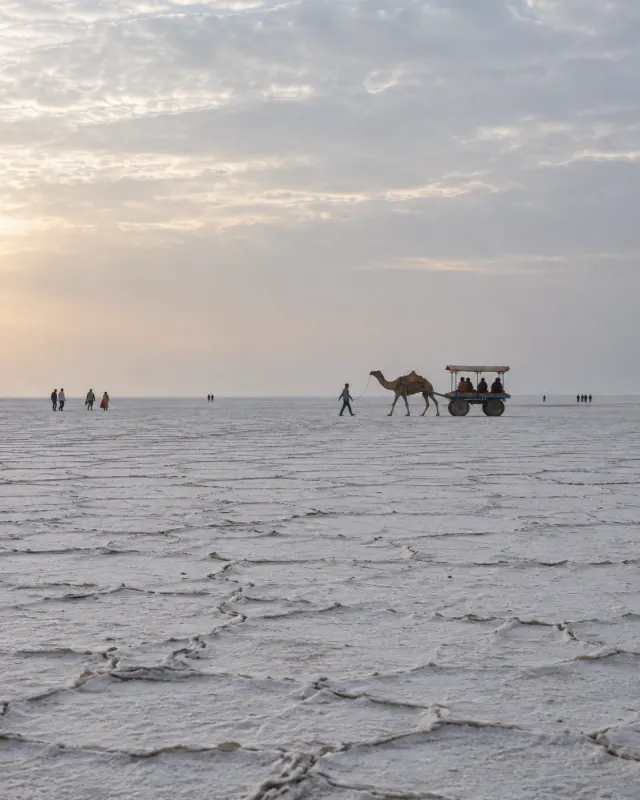 The white salt desert of the Great Rann of Kutch, Gujarat, with a distant camel cart